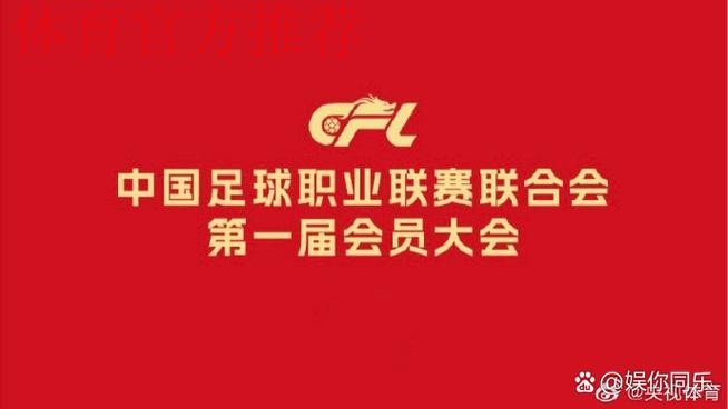 赛事平稳运行 联赛理事会执行局倾力护航